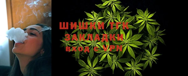 гашик Покровск