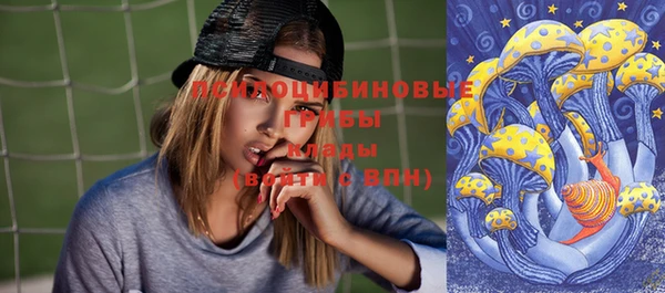 ГАЛЛЮЦИНОГЕННЫЕ ГРИБЫ Заволжье